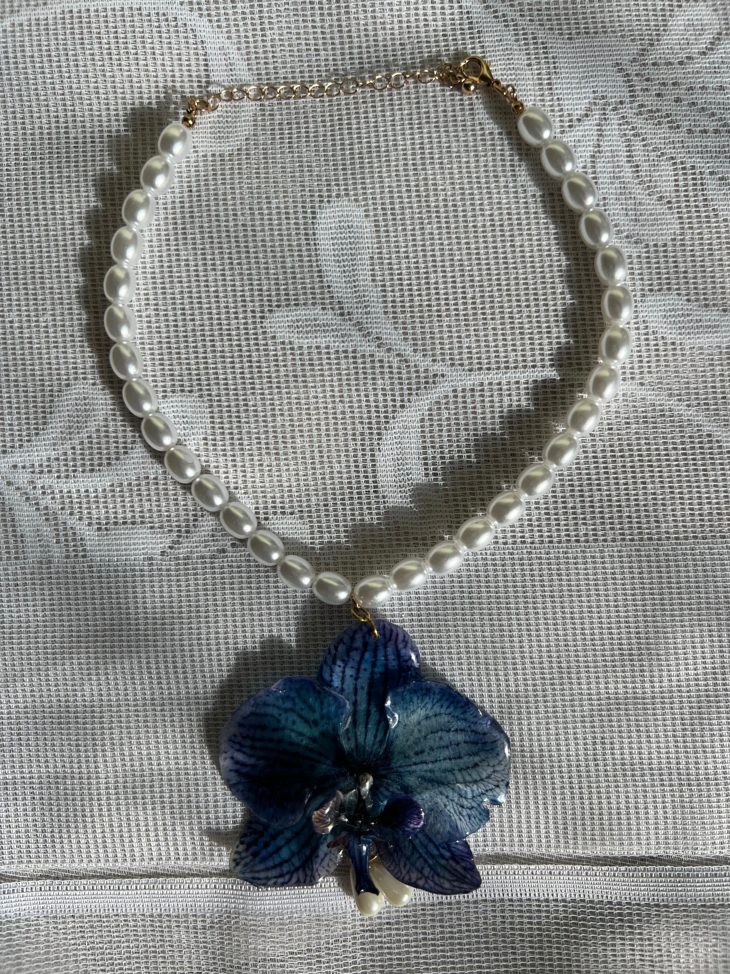 Blue Boleyn