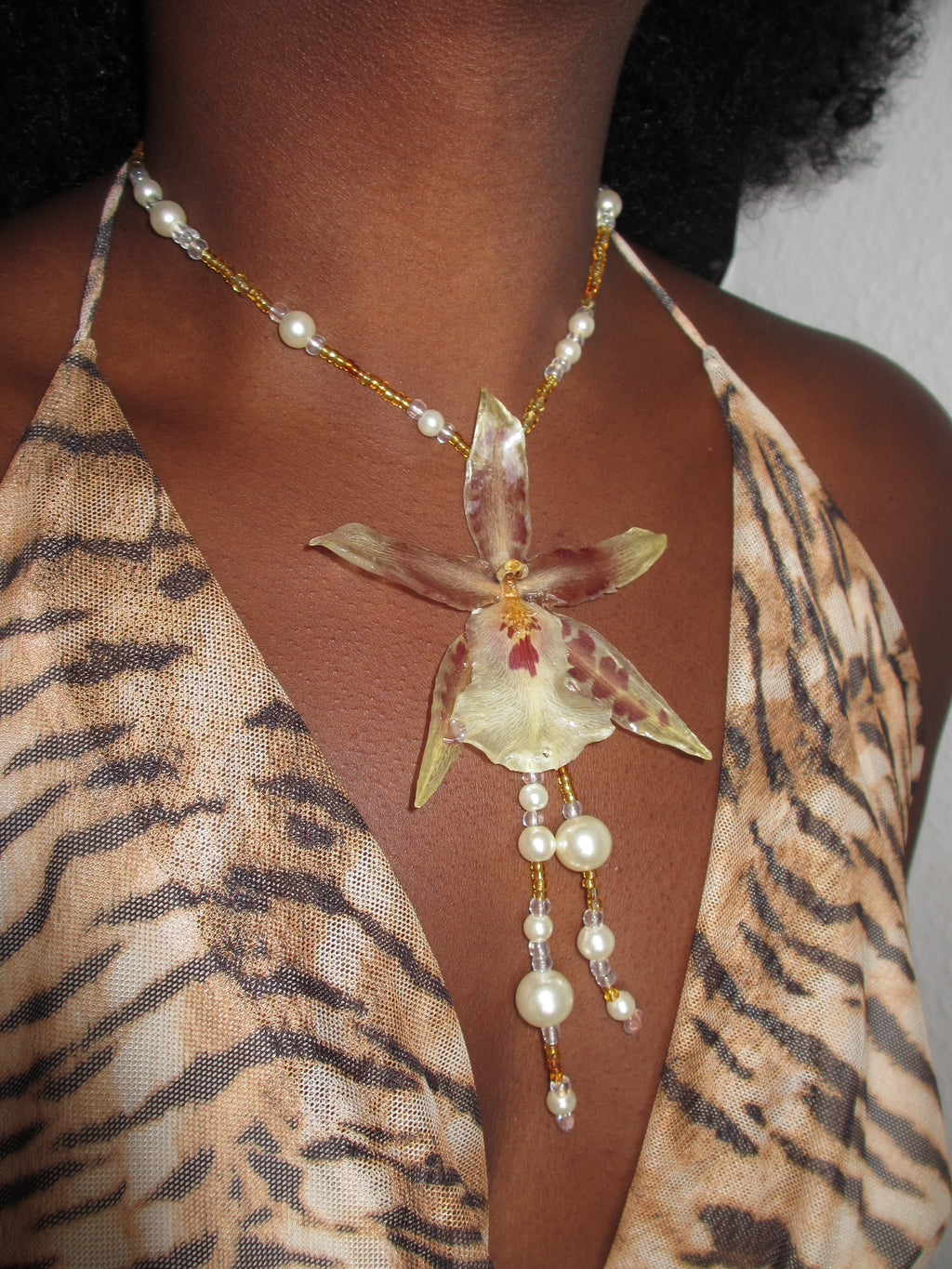 Cowrie