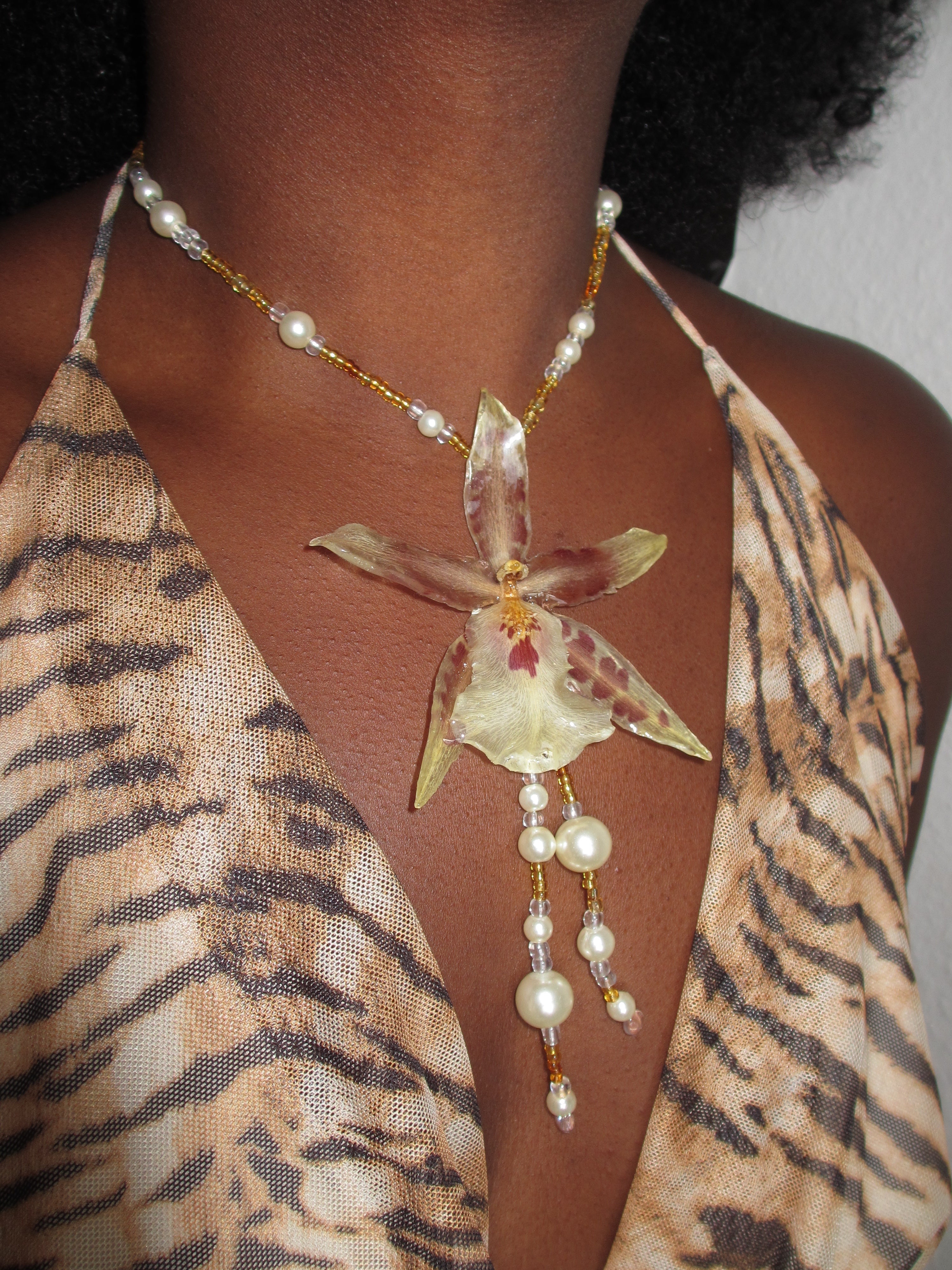 Cowrie