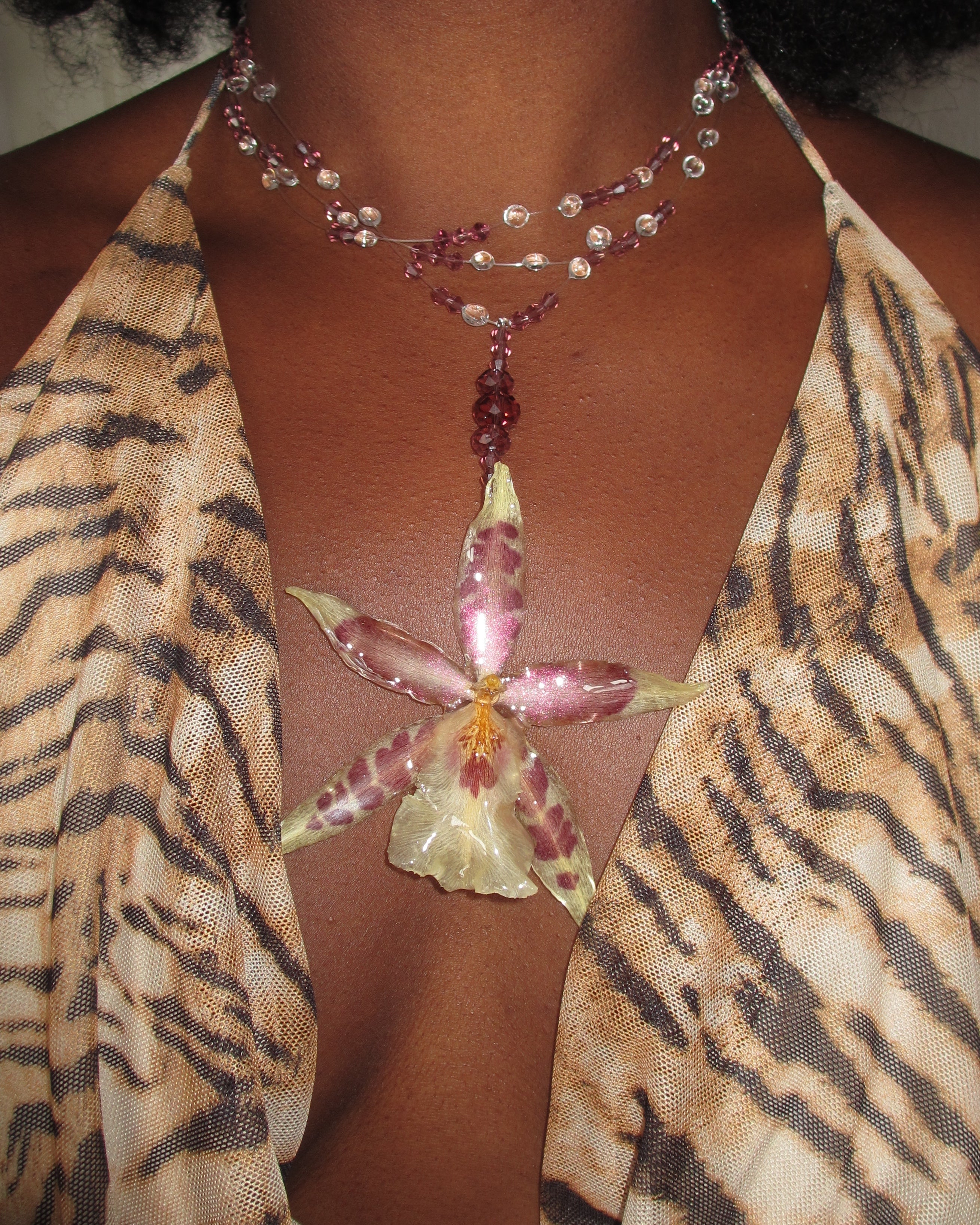 Nephthea